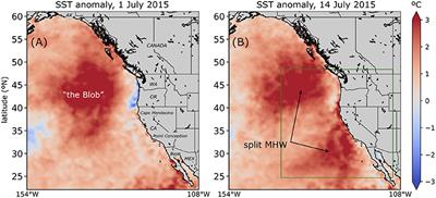 Regional Structure in the Marine Heat Wave of Summer 2015 Off the Western United States